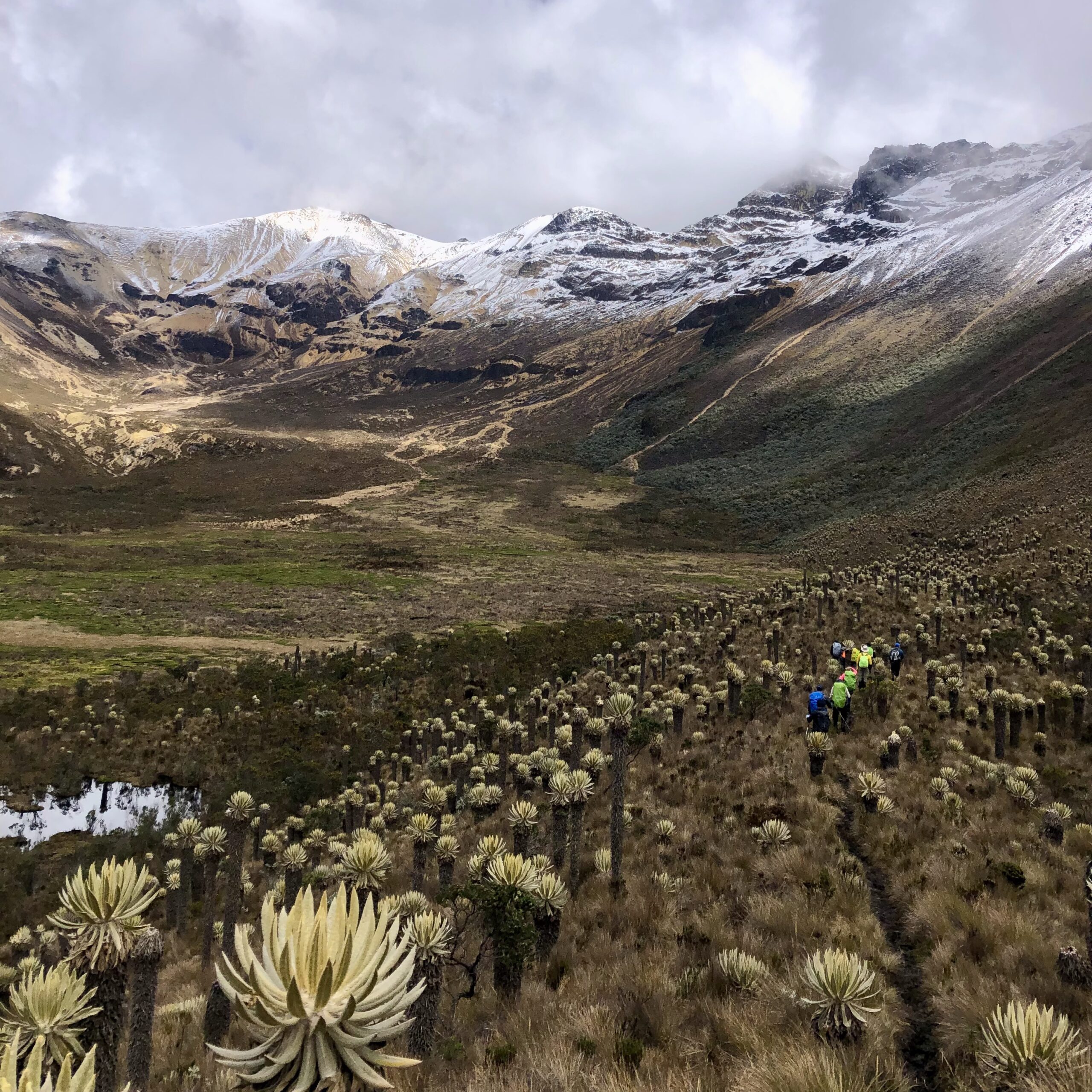 Paramillo del Quindío