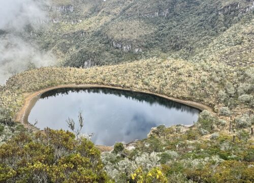 Pasadía termales aguas calientes, parque los Nevados