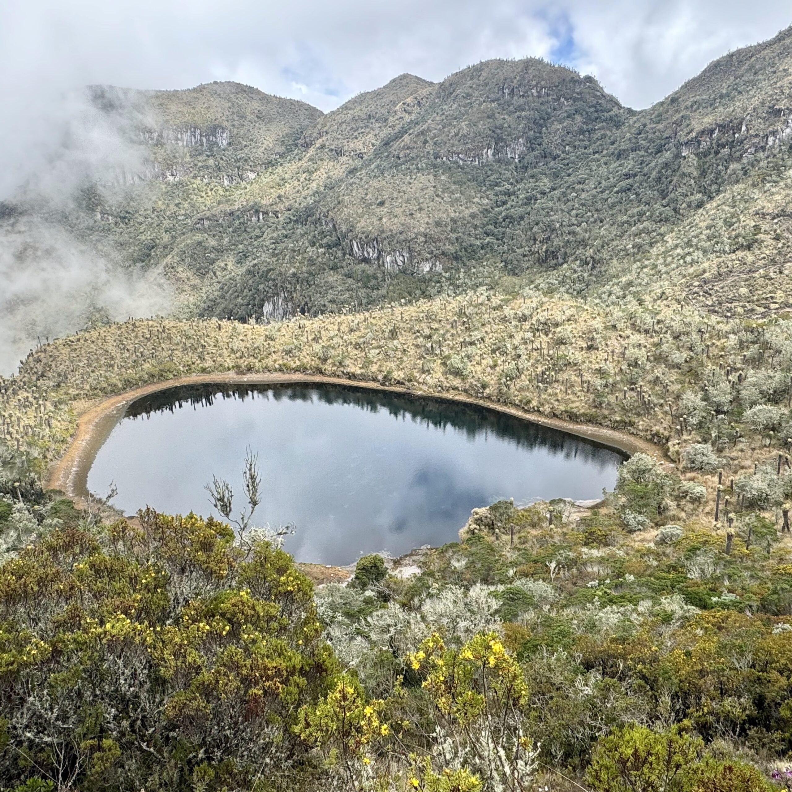 Pasadía termales aguas calientes, parque los Nevados